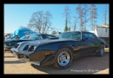 Pontiac Trans-AM 79